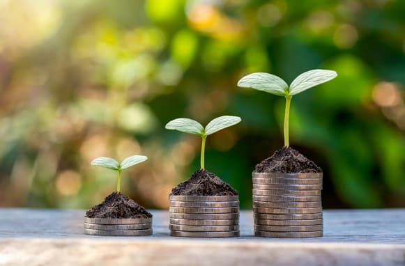 Plants Grow On A Pile Of Coins