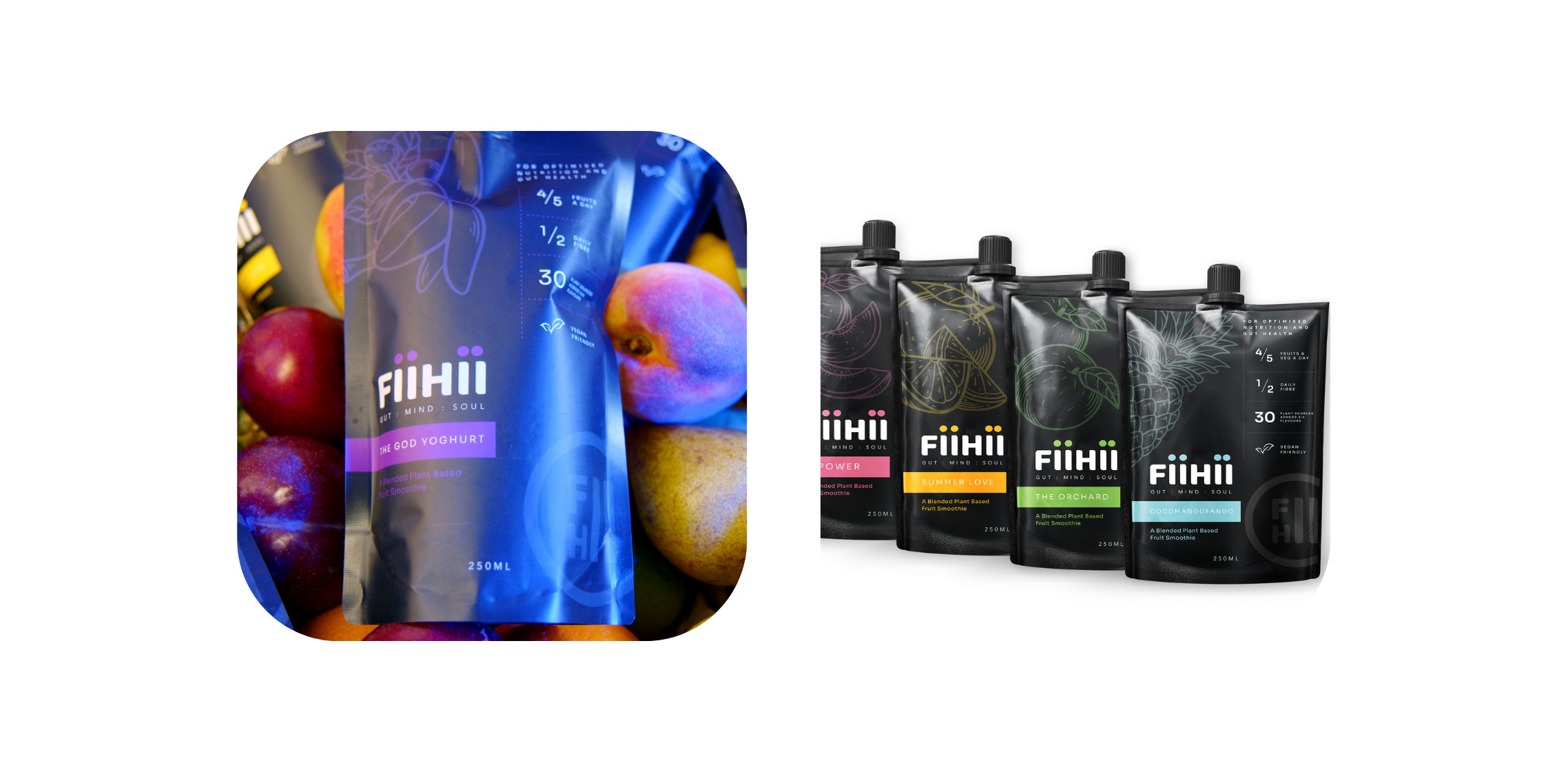 FiiHii products